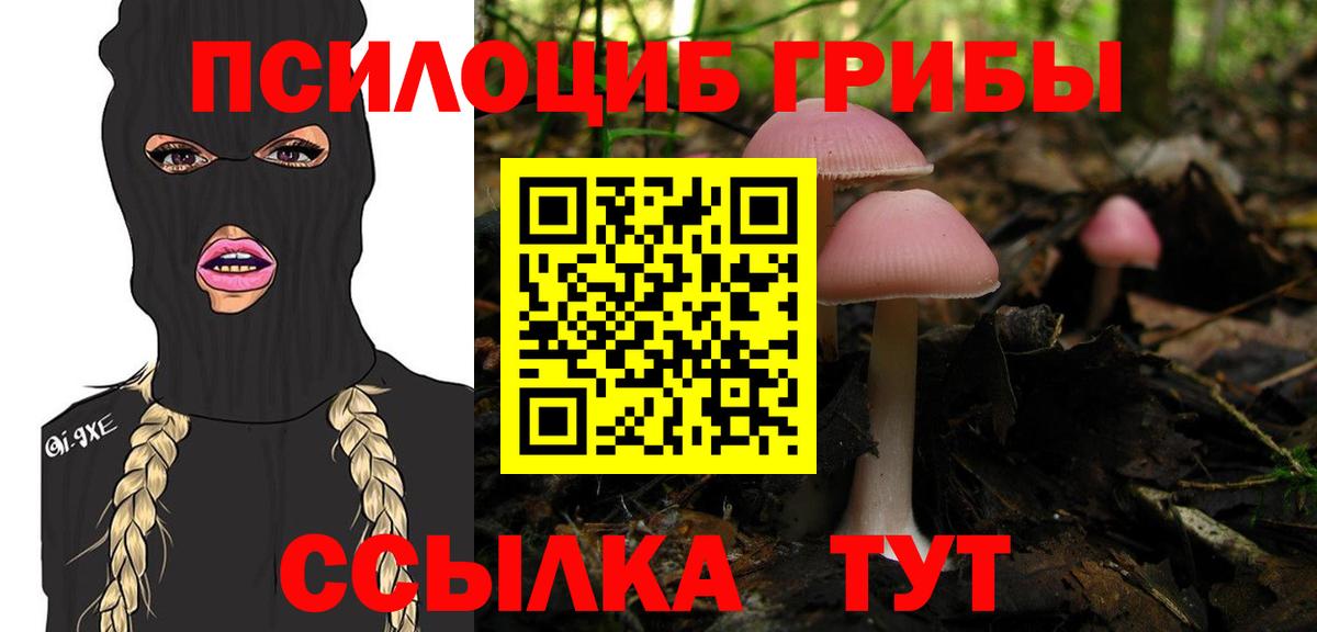 Псилоцибиновые грибы GOLDEN TEACHER Артёмовский